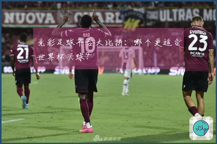 竞彩足球平台大比拼：哪个更适合世界杯买球？