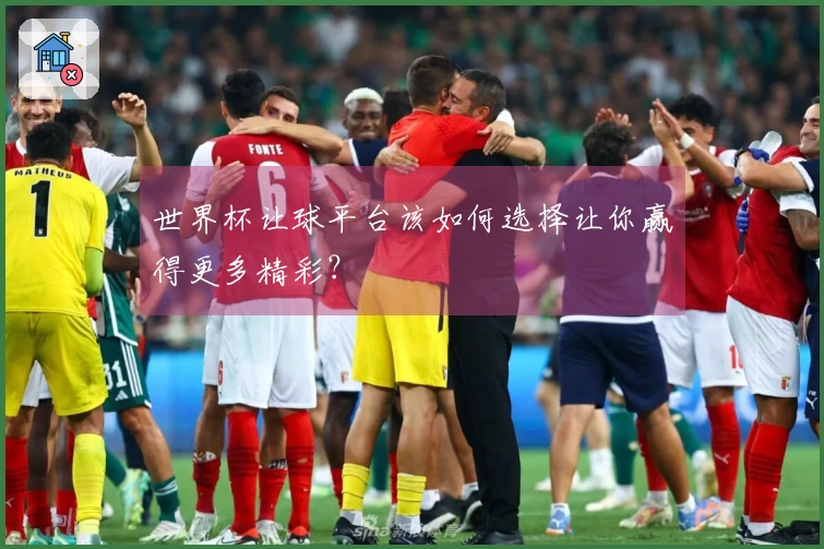 世界杯让球平台该如何选择让你赢得更多精彩？