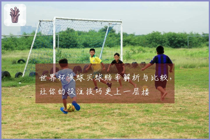 世界杯滚球买球赔率解析与比较，让你的投注技巧更上一层楼